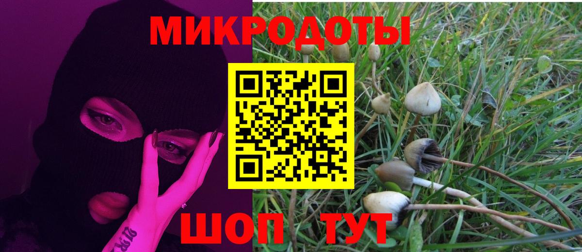 Скопин  где найти   Вход с VPN  Галлюциногенные грибы ЛСД 